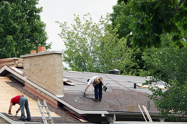 Roof Gutter Cleaning in Sugarmill Woods, FL